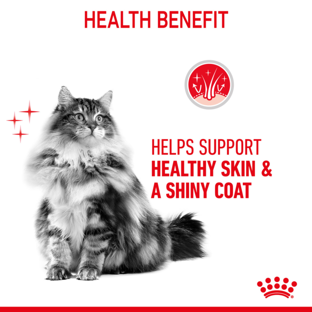 Royal Canin Hair & Skin Loaf Adult Wet Cat Food - Product Image 1