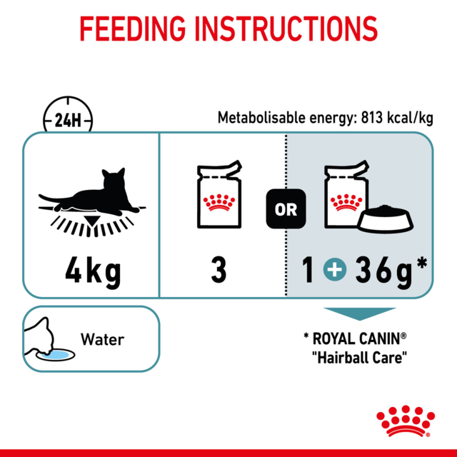 Royal Canin Hairball Care Jelly Adult Wet Cat Food - Product Image 6