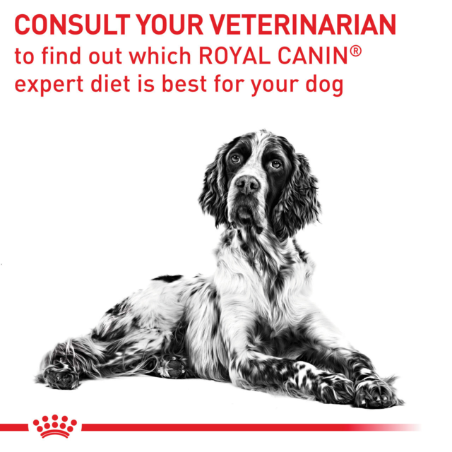 Royal Canin Vet Urinary S/O Wet Dog Food Pack - Product Image 1