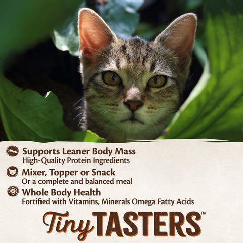 Wellness Core Tiny Tasters Chicken & Turkey Pate Wet Cat Food - Product Image 2