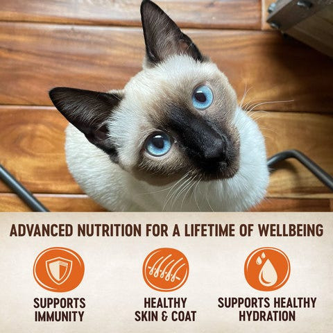 Wellness Core Tiny Tasters Tuna & Salmon Pate Wet Cat Food - Product Image 3