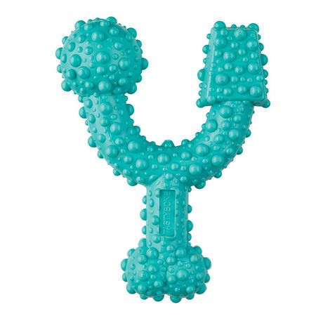Tasty Bone Peppermint Trio Chew Toy - Product Image 1