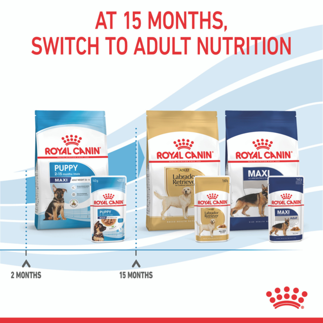 Royal Canin Maxi Puppy Gravy Wet Dog Food - Product Image 5