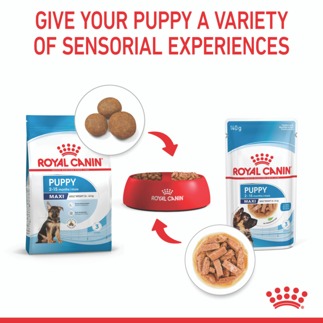 Royal Canin Maxi Puppy Gravy Wet Dog Food - Product Image 4