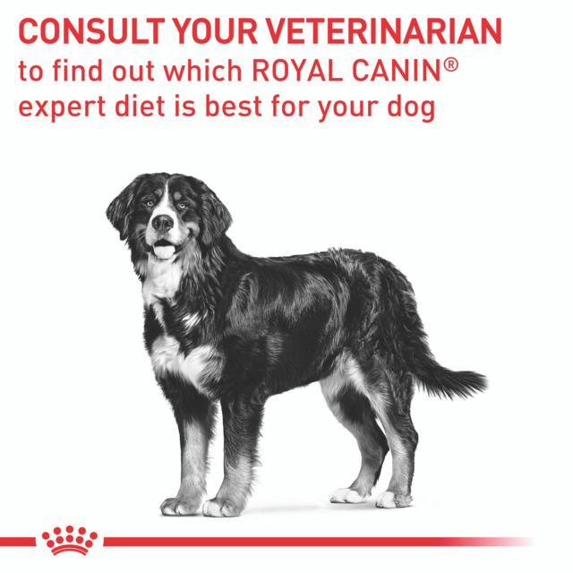 Royal Canin Vet Neutered Adult Large Dry Dog Food - Product Image 7