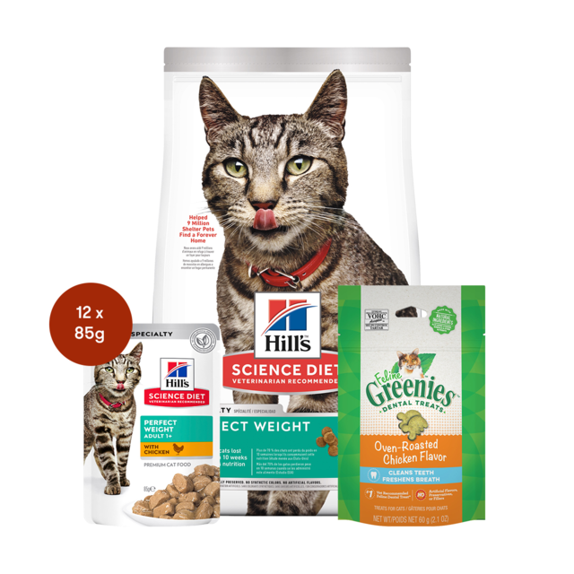 Hill's Science Diet Adult Perfect Weight Food & Treats Cat Bundle Pet Direct