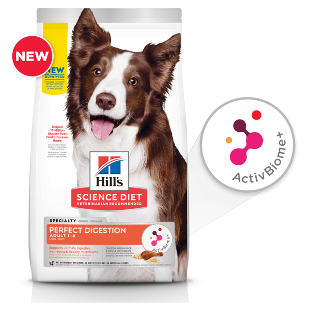 Hill's Science Diet Perfect Digestion Adult Dry Dog Food Pet Direct