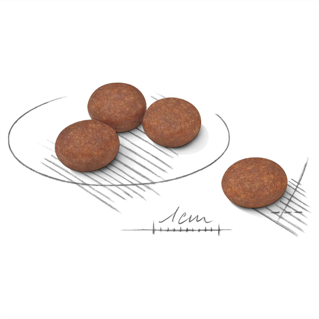 Royal Canin Medium Digestive Care Dry Dog Food Pet Direct