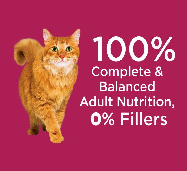 IAMS Proactive Health Urinary Tract Health Adult Chicken Dry Cat Food