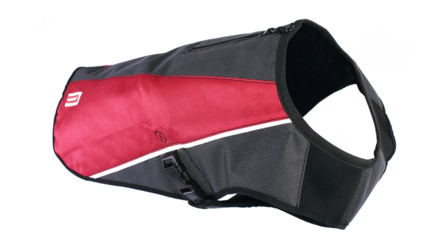 EzyDog Element Dog Winter Jacket – The Dog Outdoors