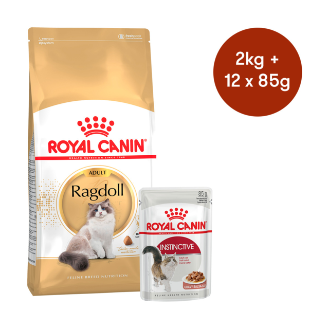 Royal Canin Ragdoll Adult Dry + Wet Cat Food Bundle Pet Direct