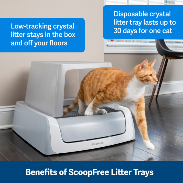 PetSafe ScoopFree Disposable Crystal Litter Replacement Tray Pet Direct