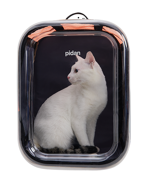 Pidan Pet Backpack Carrier Pet Direct