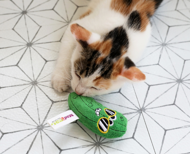Mad Cat Cool Cucumber Cat Toy Pet Direct