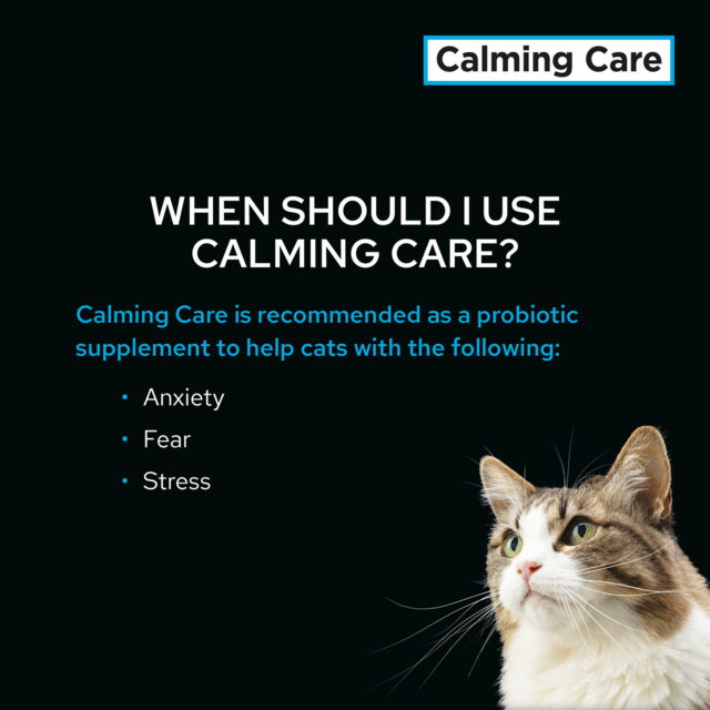 PRO PLAN Veterinary Diet Calming Care Feline Probiotic Supplement Pet Direct