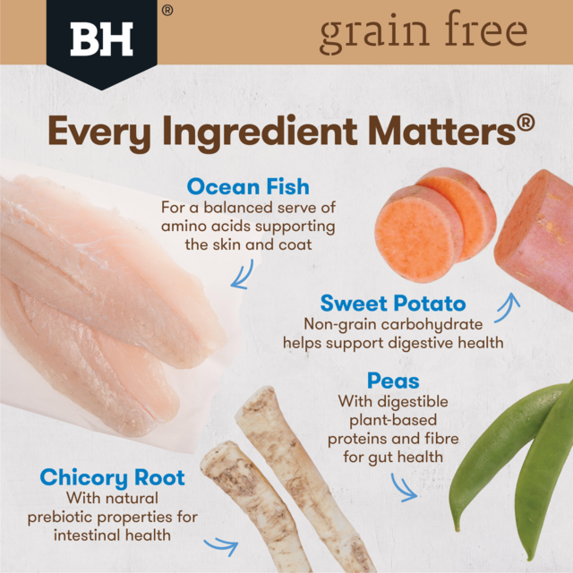 Black Hawk Grain Free Puppy Ocean Fish Dry Dog Food Pet Direct