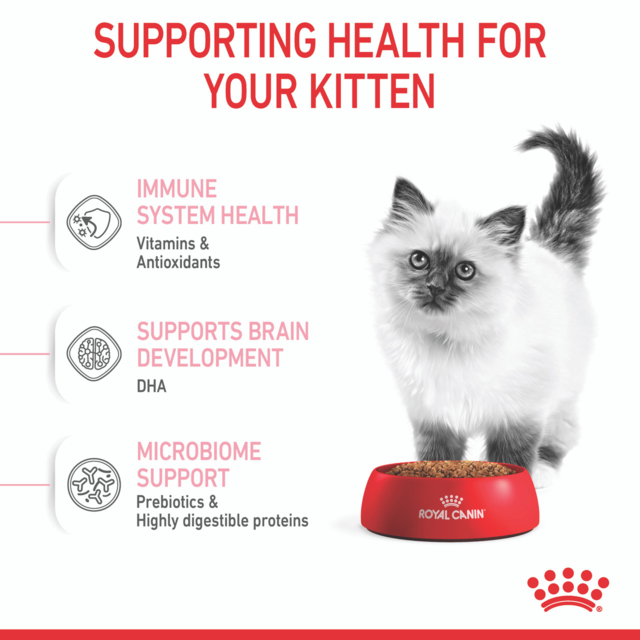 Royal Canin Kitten Dry Cat Food Pet Direct