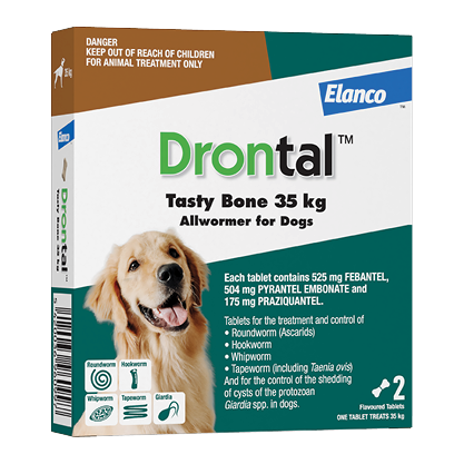 Drontal Tasty Bone Dog Allwormer Petdirect