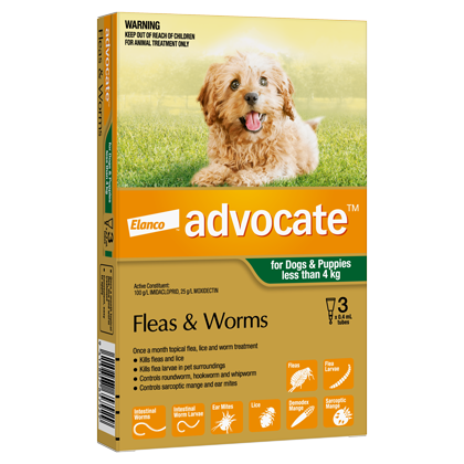 Advocate Spot-On Flea Worm Treatment for Dogs 0–4kg Petdirect
