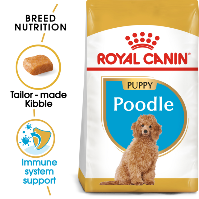 Miniature Poodle Best Food For Toy Poodles Brown Poodle Best Dog