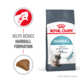 Royal Canin Hairball Care Dry Cat Food Trial Bag