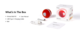 Cheerble M3 Mini Smart Cat Toy 