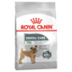 Royal Canin Mini Dental Care Dry Dog Food
