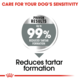 Royal Canin Medium Dental Care Dry Dog Food