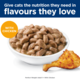 Hill's Science Diet Adult Perfect Weight Chicken in Gravy Wet Cat Food