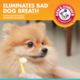 Arm & Hammer Fresh Breath Chicken Enzymatic Toothpaste for Dogs