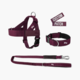 Dog Friendly Co. Premium Dog Lovers Pack 