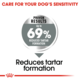 Royal Canin Mini Dental Care Dry Dog Food