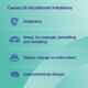  Protexin Veterinary Synbiotic D-C Probiotic Prebiotic for Cats & Dogs