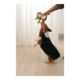 M-PETS Eco Rosie Dog Plush Toy