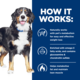 Hill's Prescription Diet j/d Metabolic + Mobility Dry Dog Food