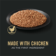 Pro Plan Puppy Chicken & Rice Entree Wet Dog Food