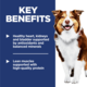 Hill's Science Diet Adult 7+ Senior Dry Dog Food