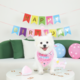 M-PETS Party Time Lady Birthday Party Pack For Dogs