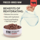 Kiwi Kitchens Beef Freeze Dried Dog Food