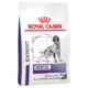 Royal Canin Vet Dental Dry Dog Food