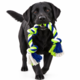 Pup & Purr Fantastic Four Knot Rope Dog Toy