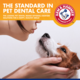 Arm & Hammer Tartar Control Beef Enzymatic Toothpaste for Dogs