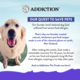 Addiction MEGA Hearty Chicken Stew Gravy Wet Dog Food