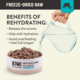 Kiwi Kitchens Fish Freeze Dried Dog Food
