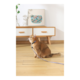 M-PETS Gentle Cat Harness and Leash Set