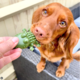Mak's Patch Dental Crocodile Dog Treats