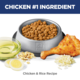 Hill's Science Diet Adult Sensitive Stomach & Skin Chicken Dry Cat Food
