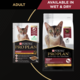 Pro Plan Adult Chicken Dry Cat Food