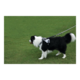 M-PETS Dog Lead Shock Absorber Extension