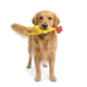 Pup & Purr Sir Clucksalot Latex Dog Toy